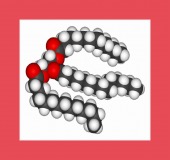 triglyceride molecule image healthtips images